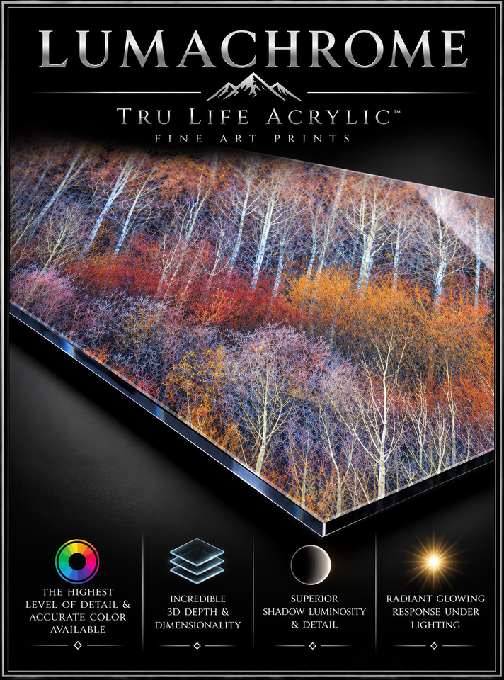 LUMACHROME ACRYLIC FINE ART PRINTS | GALLERY FLOAT