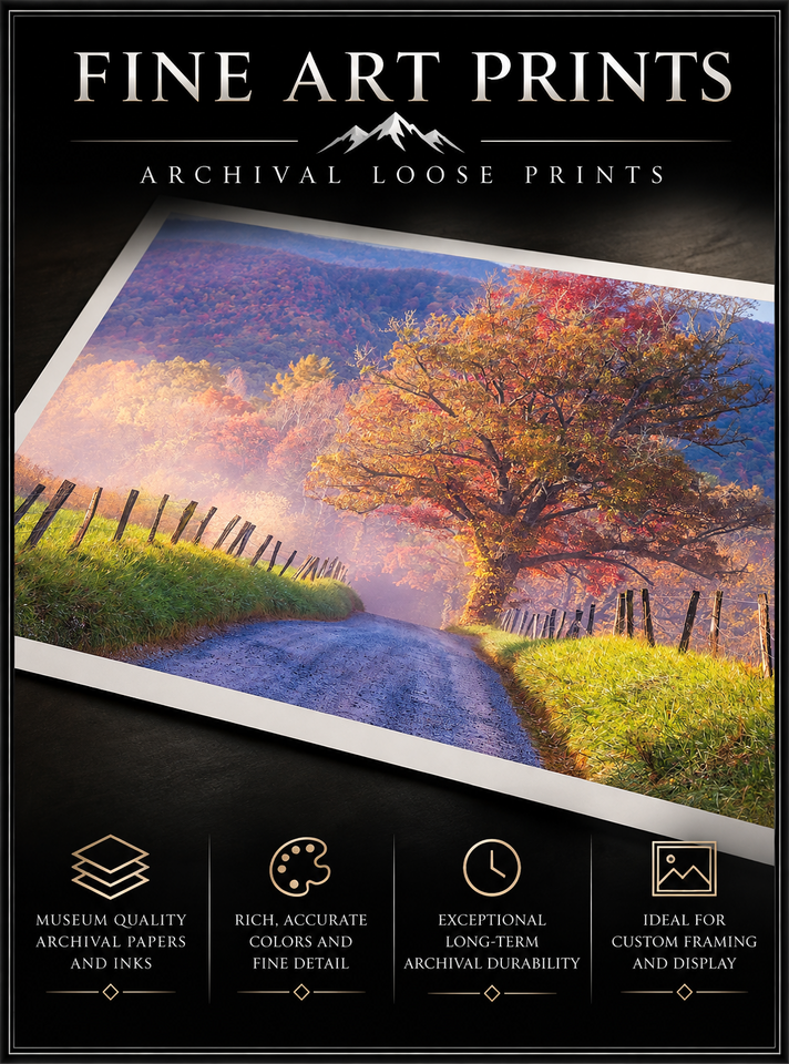 Archival Fine Art Photographic Prints