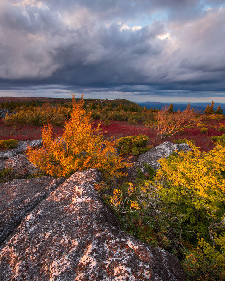A dramatic sunset from the Dolly Sods Wilderness in West Virginia. 