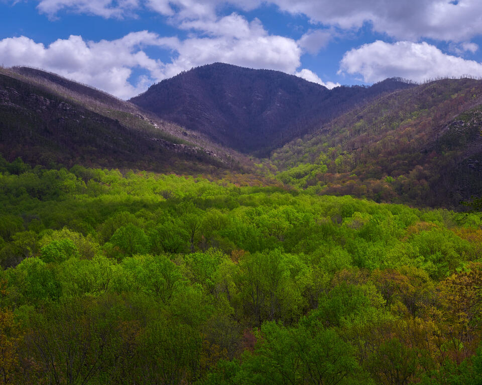 Mighty Mount LeConte