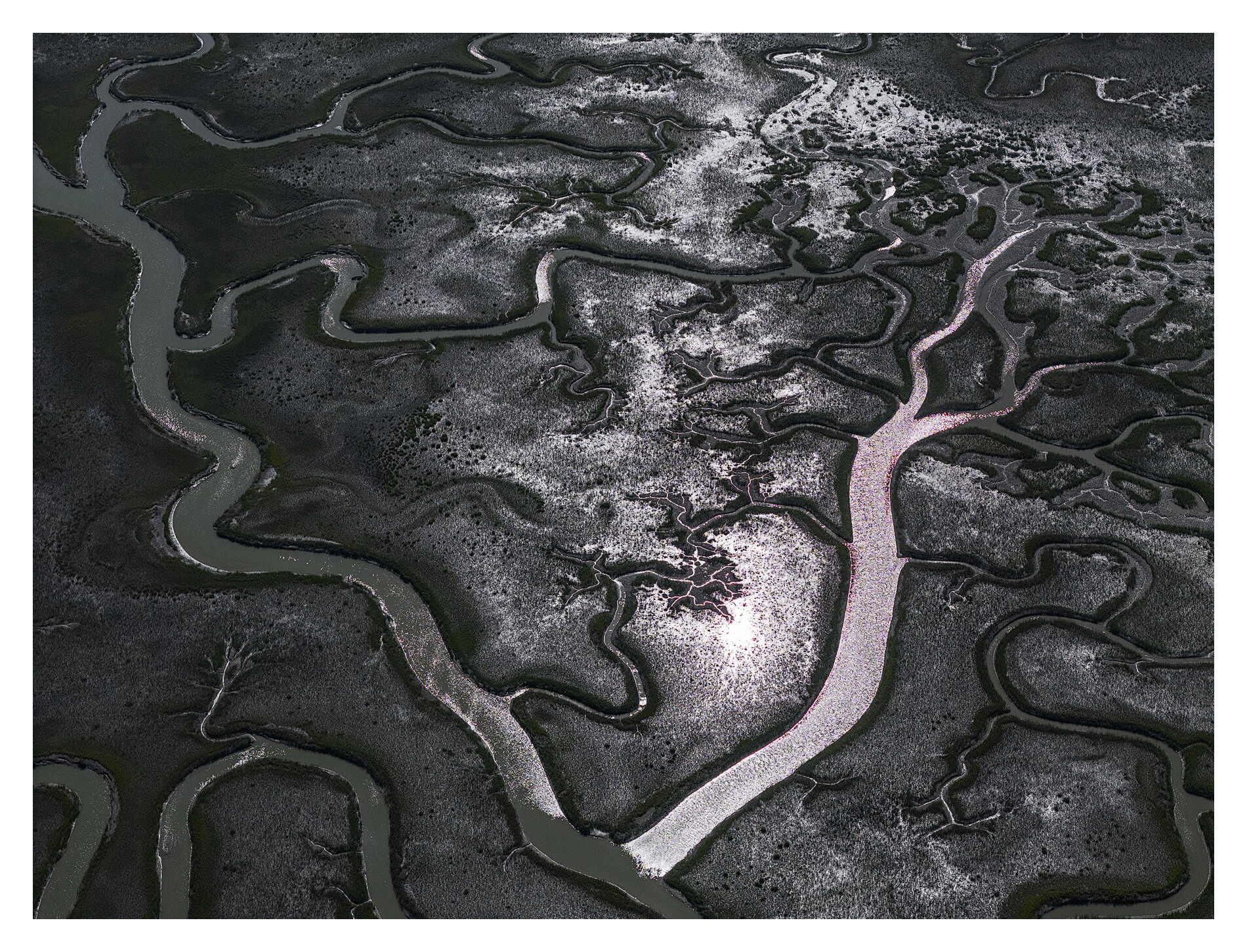 Sunlight reflects off glistening water channels, transforming the marsh into an abstract tapestry of light and shadow.