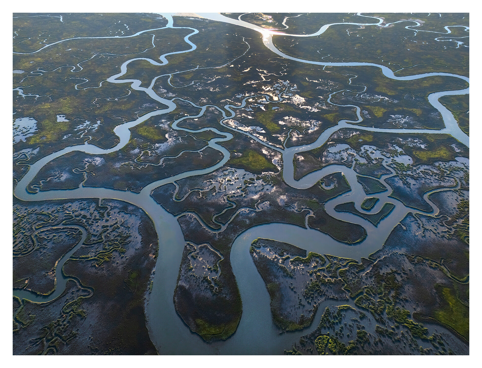 Reflective light shimmers on tidal waterways, turning the marsh into a glowing map of silver channels and shadowed earth.