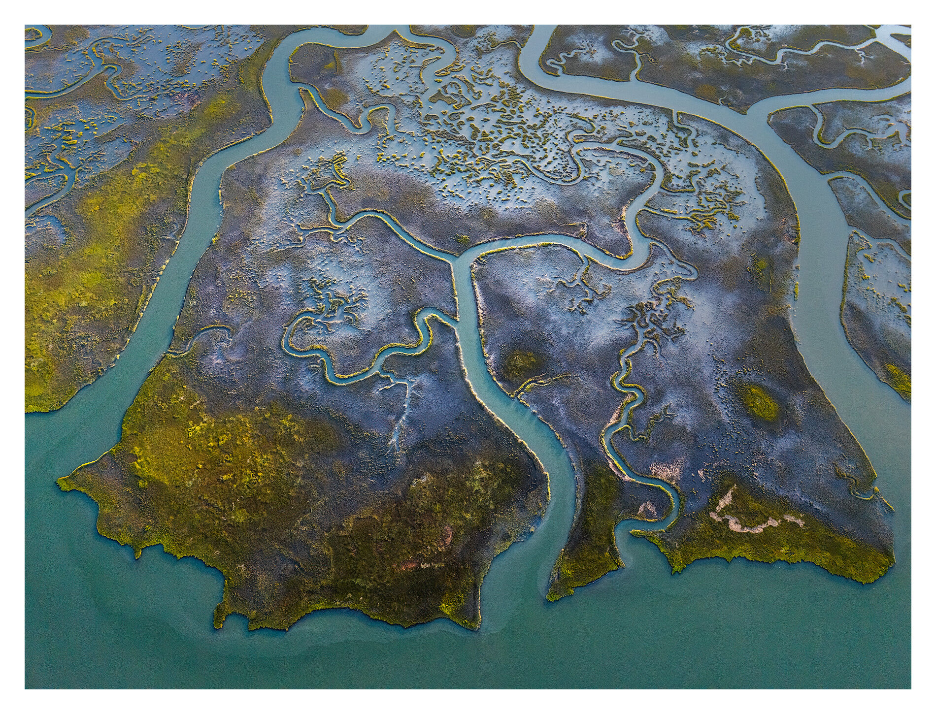 Aerial view of Virginiaâ€™s tidal marshes where winding creeks carve through the mudflats like living veins, carrying saltwater deep into the wetlands.
