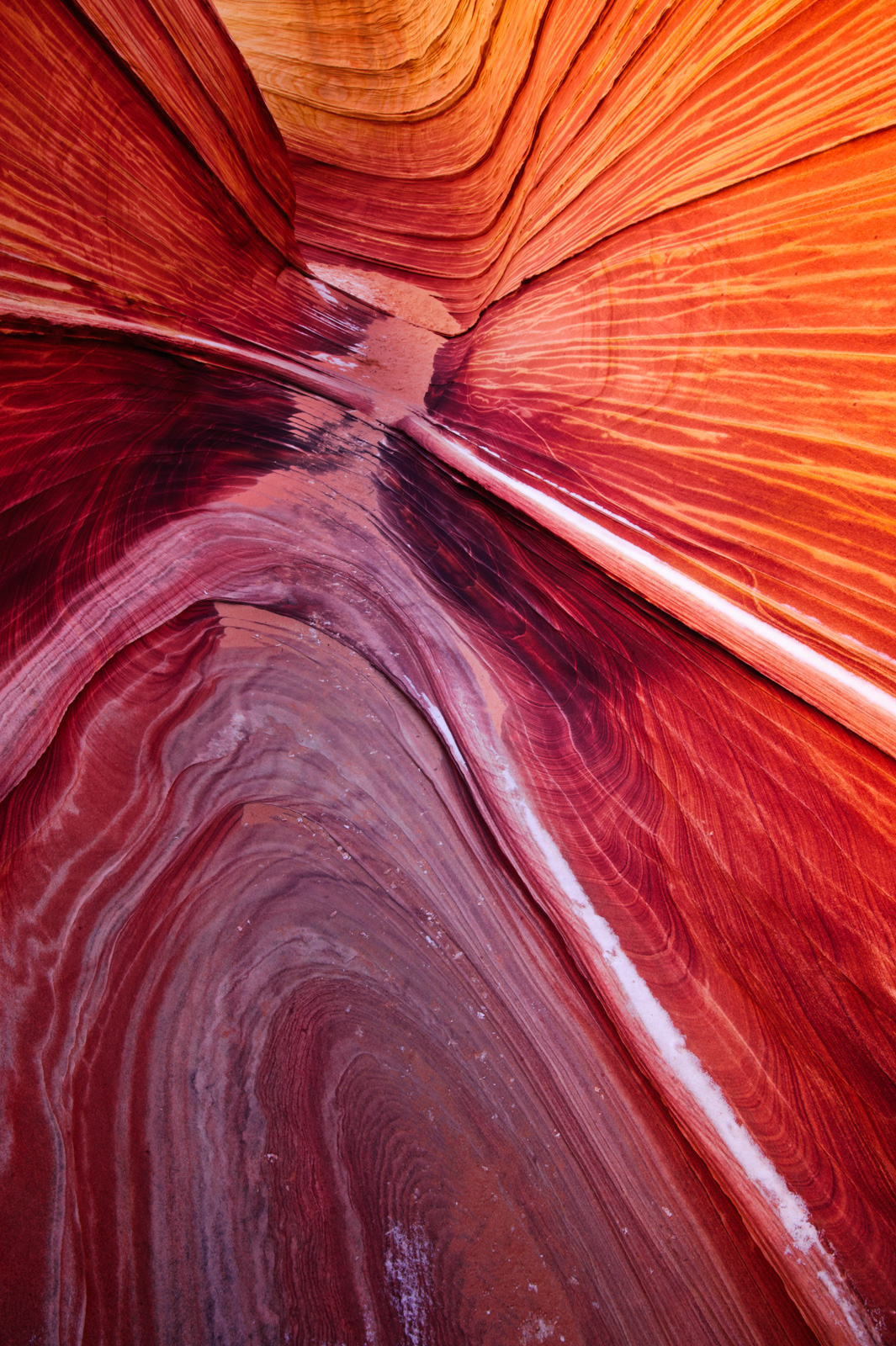 Glowing sandstone at the Wave, Coyote Buttes Wilderness, Arizona