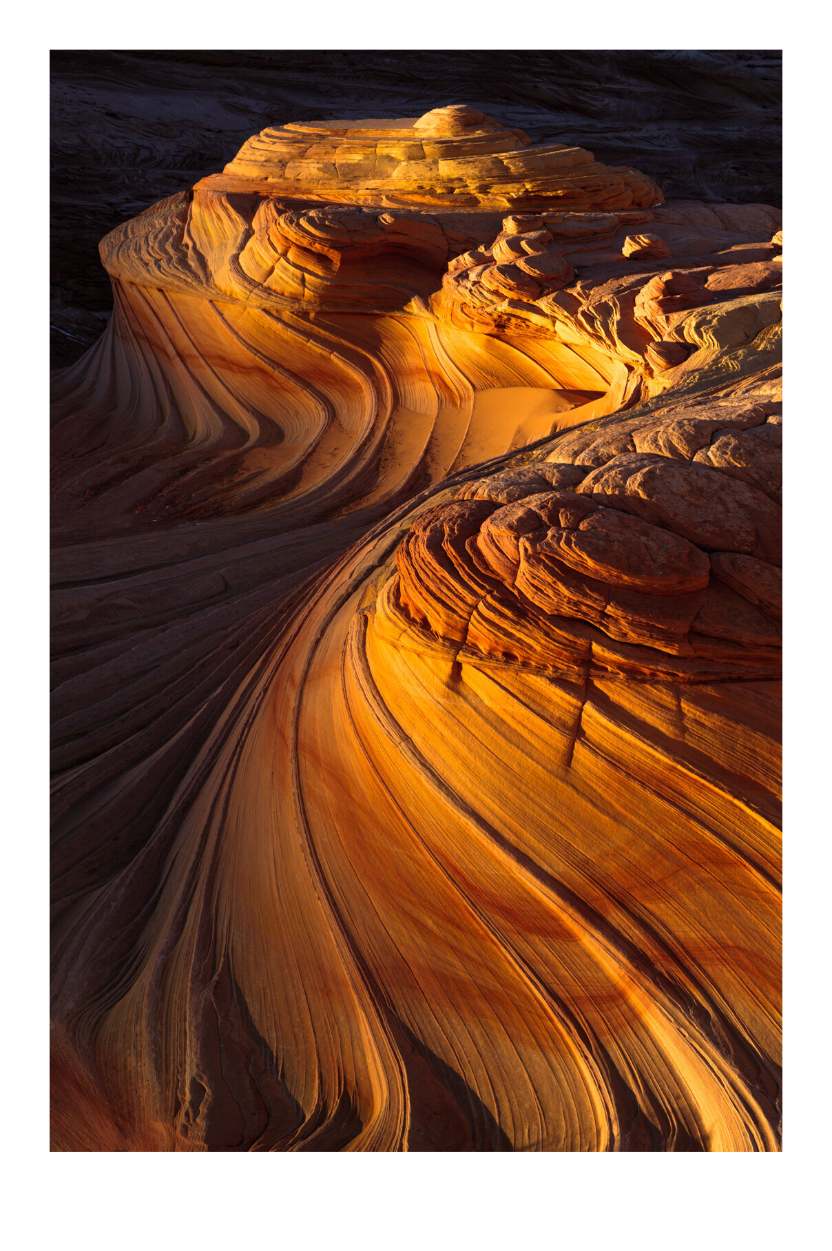 Waves of sadstone glowing in the rays of last light deep in the heart of the Paria/Vermillion Cliffs Wilderness, Arizona.