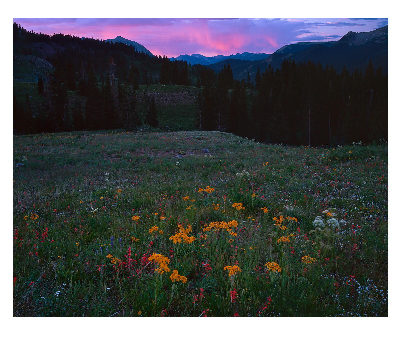 I captured this display of light and summer alpine wildflowers just after sunset on a beautiful July evening. I had another composition...