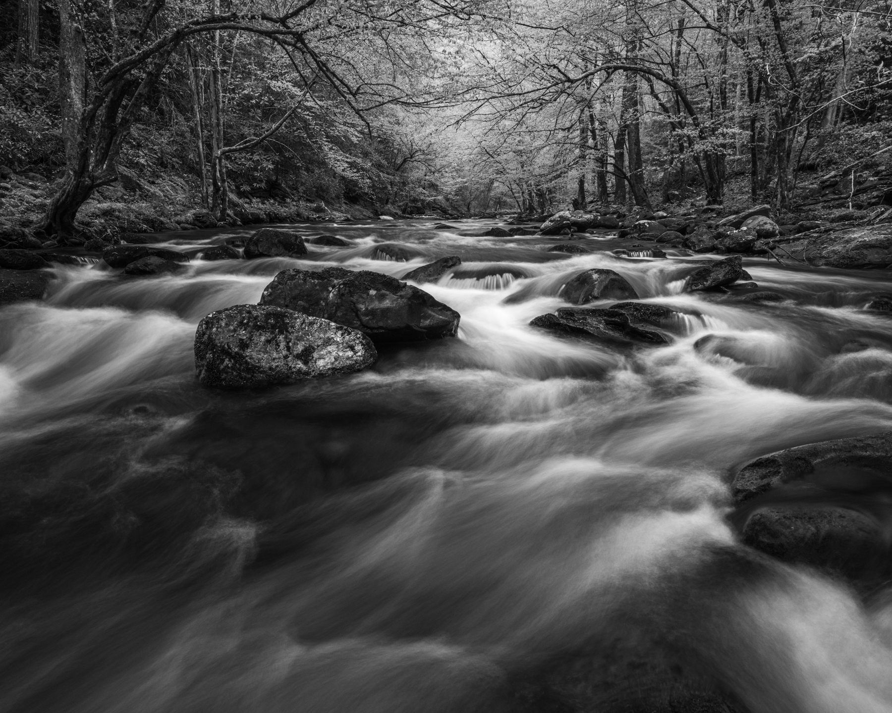 My favorite stream in the Smoky Mountains, Middle Prong of the Little River, captured in the spring on a wet April evening....