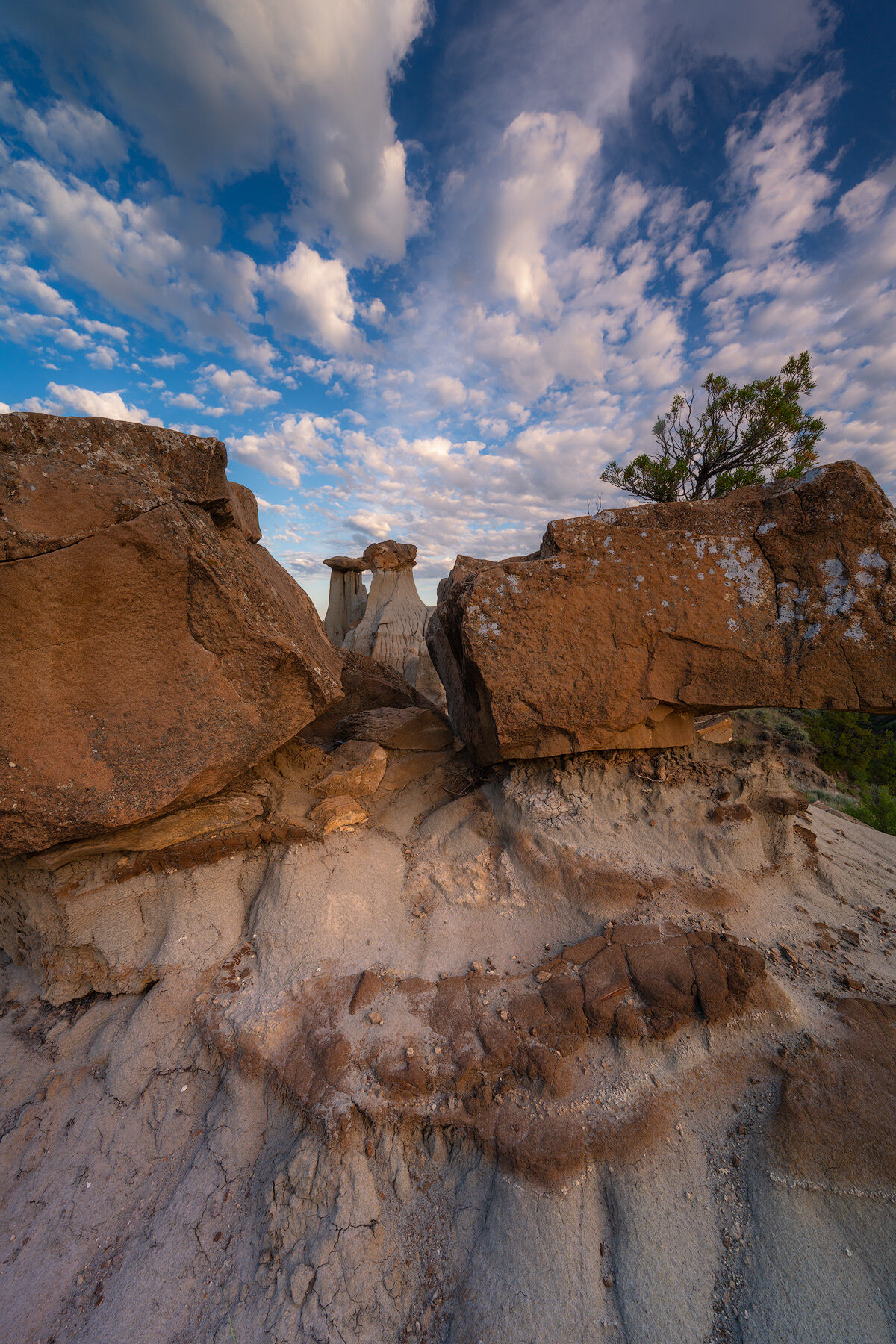 I photographed this scene in Makoshika State Park, Montana, as the first light of morning broke over the badlands. The hoodoos...