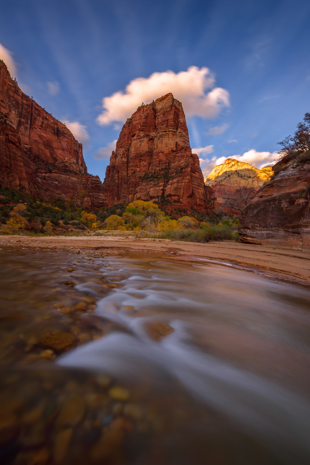 Angels Landing at sunset captured from the Virgin River in Zion National Park.