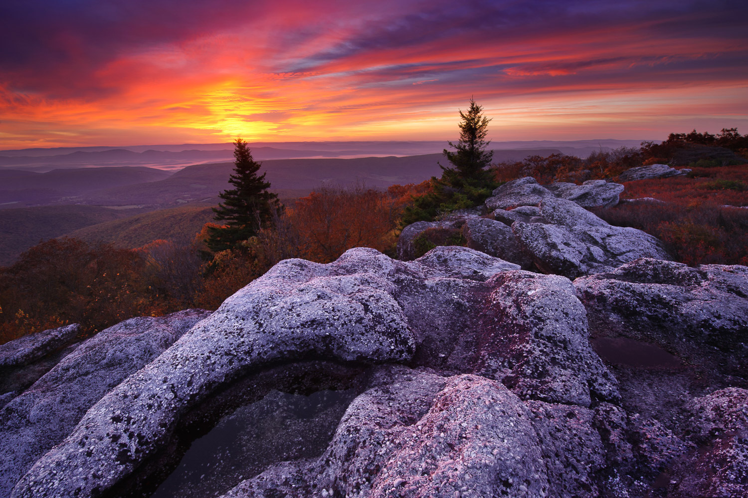 Rock ledge and the Allegheny Mountains at sunrise from the summit of Bear Rocks, Dolly Sods Wilderness, West Virginia.