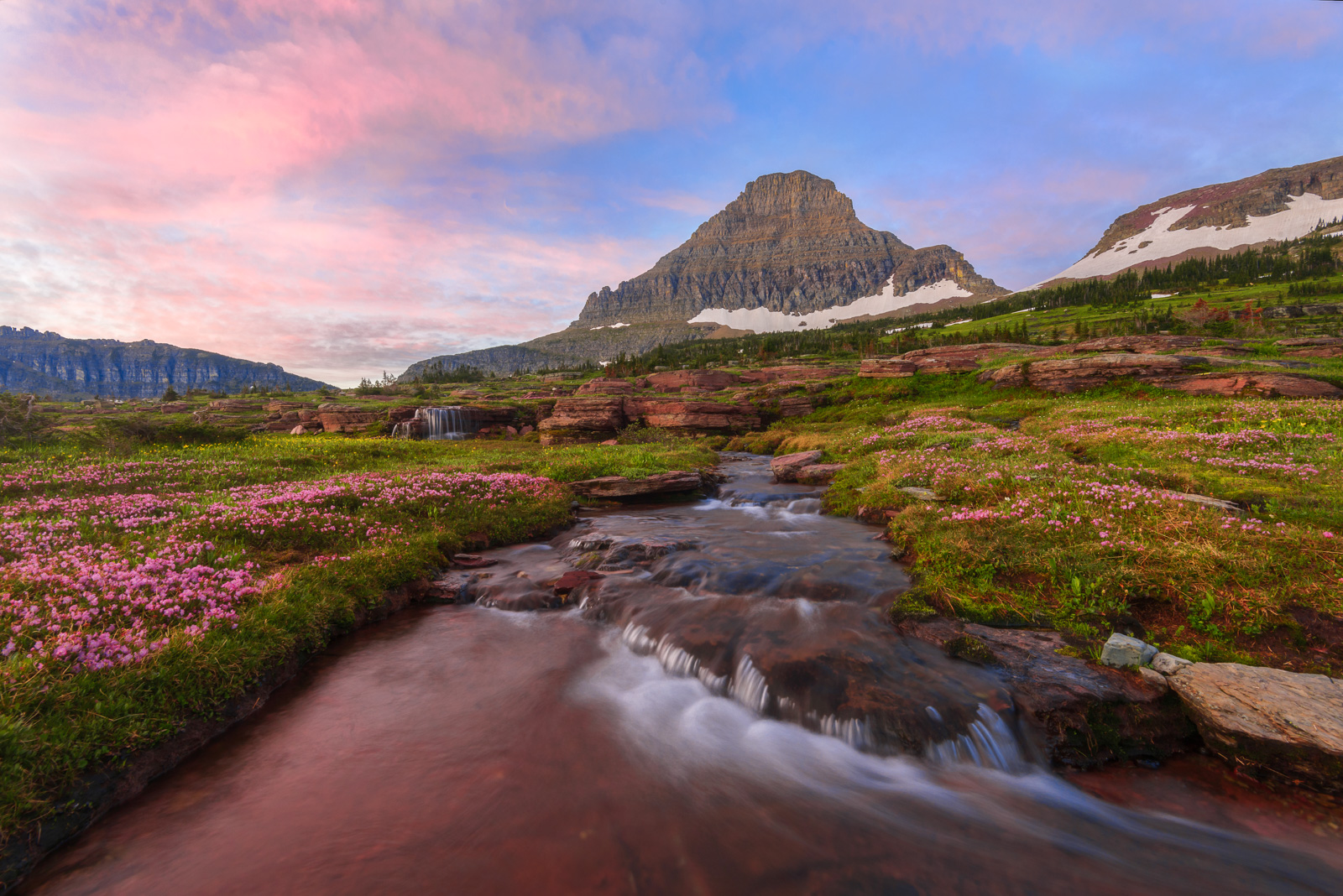 Summer sunrise over Reynolds Mountain with blooming alpine flowers from Logan Pass, Glacier National Park.