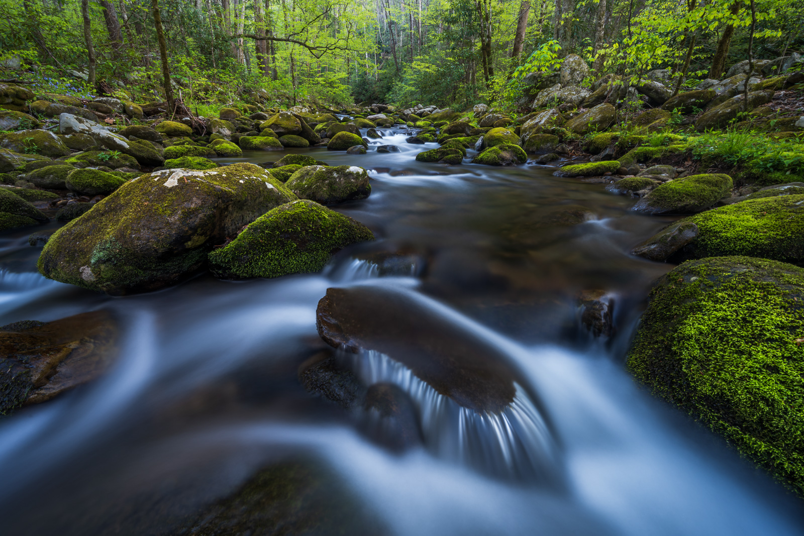 Spring flow on the Roaring Fork River in Great Smoky Mountains National Park. 