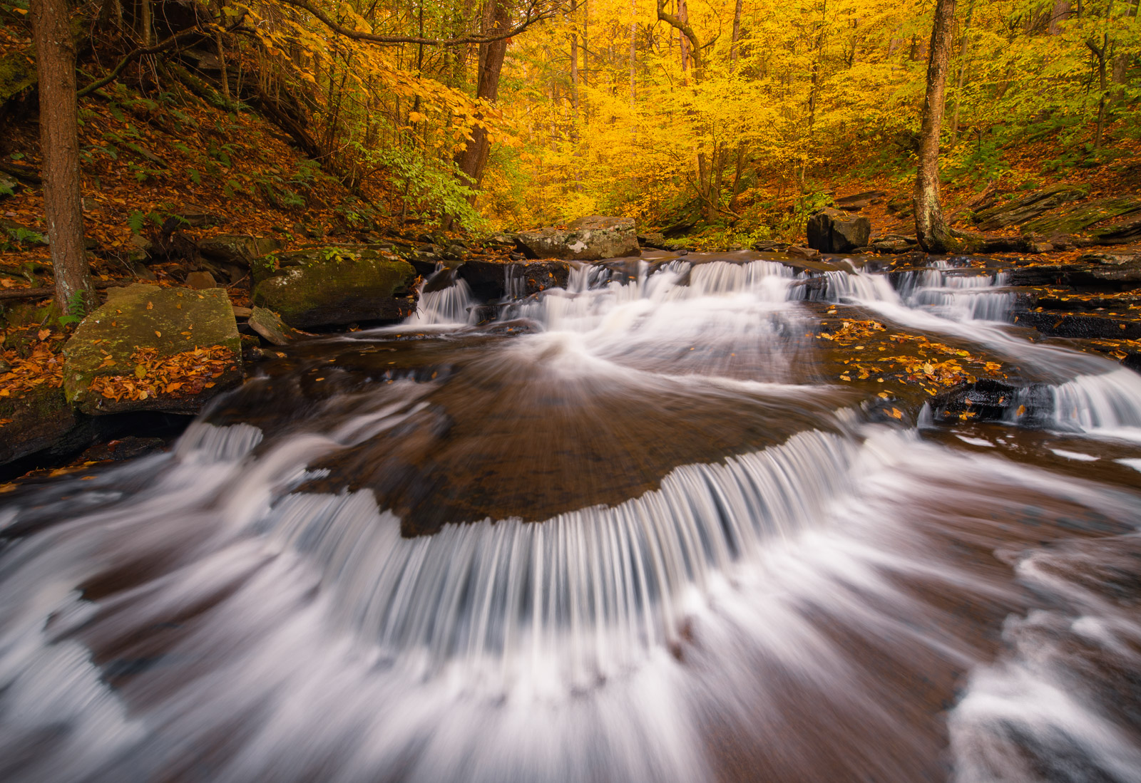 Small cascades and autumn color on Glen Leigh in Ricketts Glen State Park.