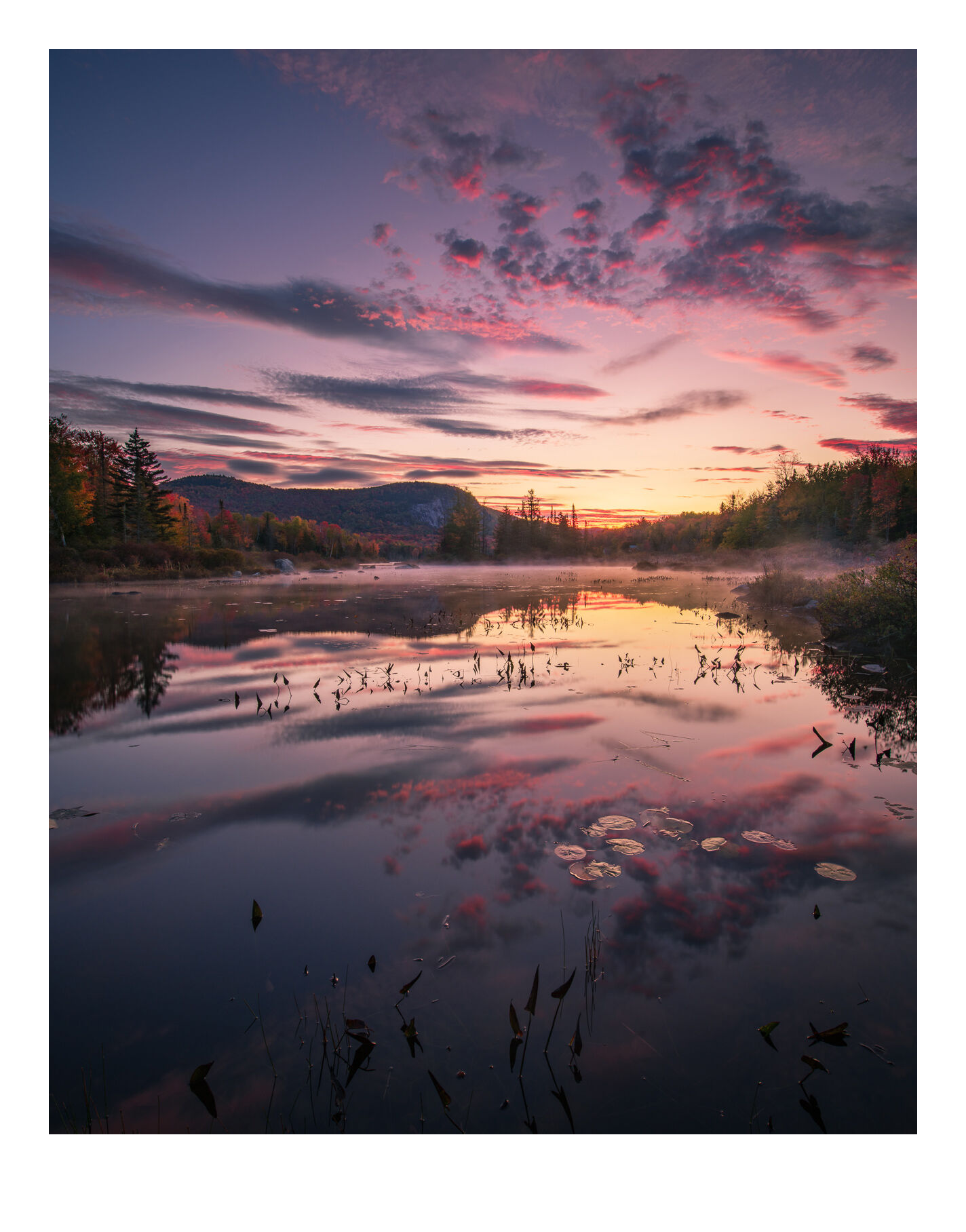 Mirror reflections at dawn on Turtlehead Pond, Vermont.