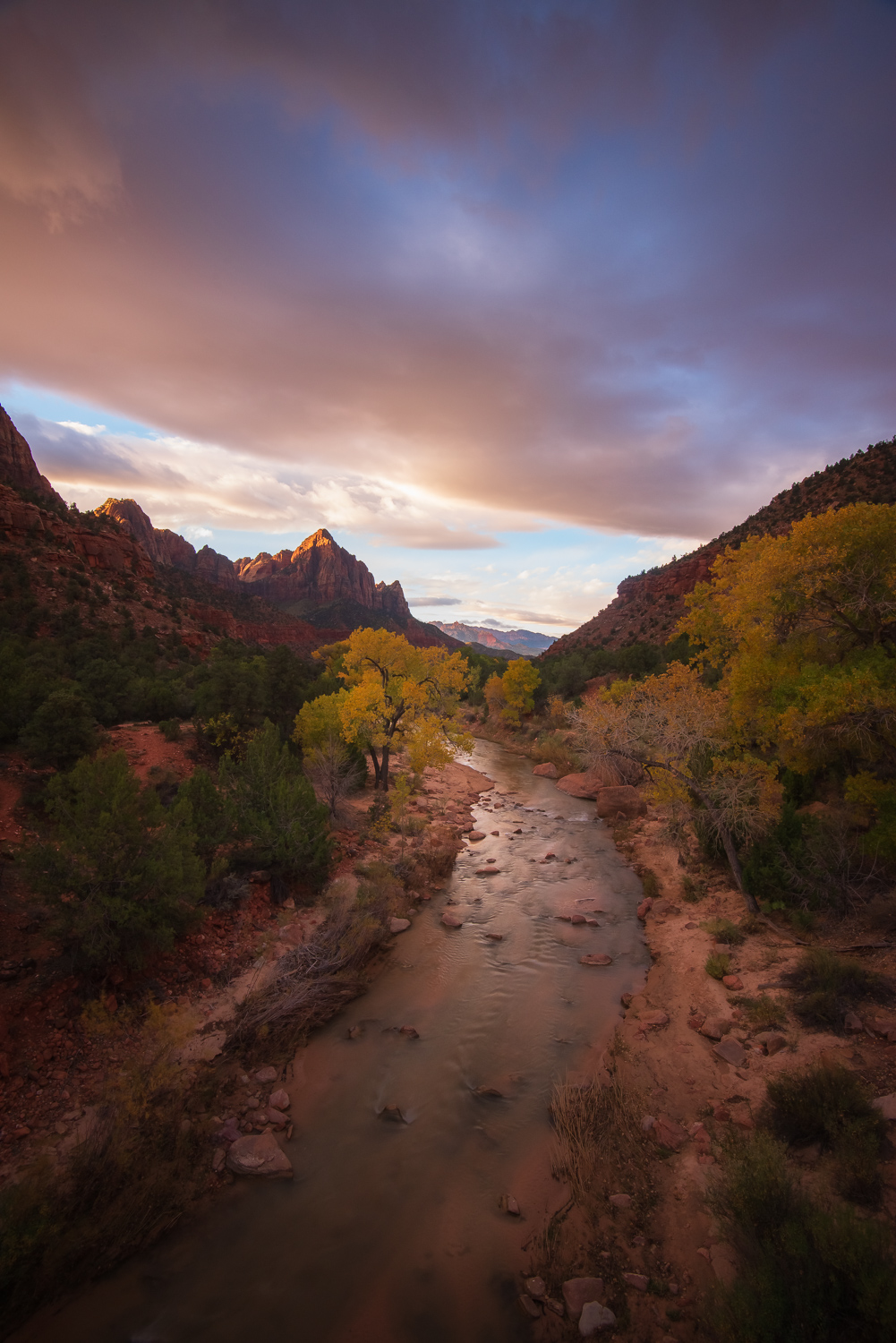 The iconic view of the Watchmen and the Virgin River, Zion National Park.
