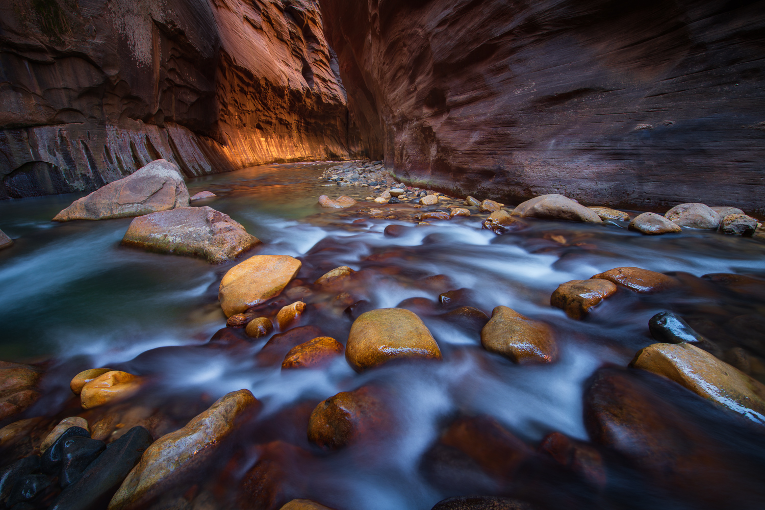 Glowing canyon walls and the Virgin River rushing over rocks in The Narrows of Zion National Park, Utah.